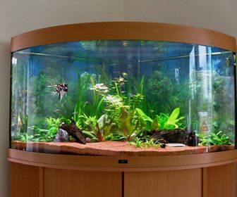 Accessori da acquario