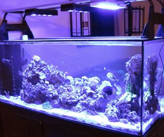 Luci per acquario